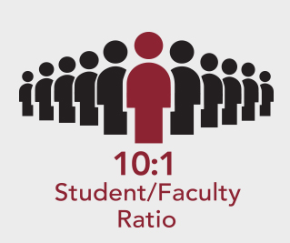 ccsj-numbers-ratio